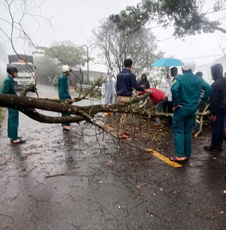 Công an xã Phú Sơn Lâm Hà phối hợp lực lượng an ninh cơ sở và dân quân tự vệ xử lý cây đổ, sạt lở đảm bảo giao thông thông suốt trong mùa mưa bão